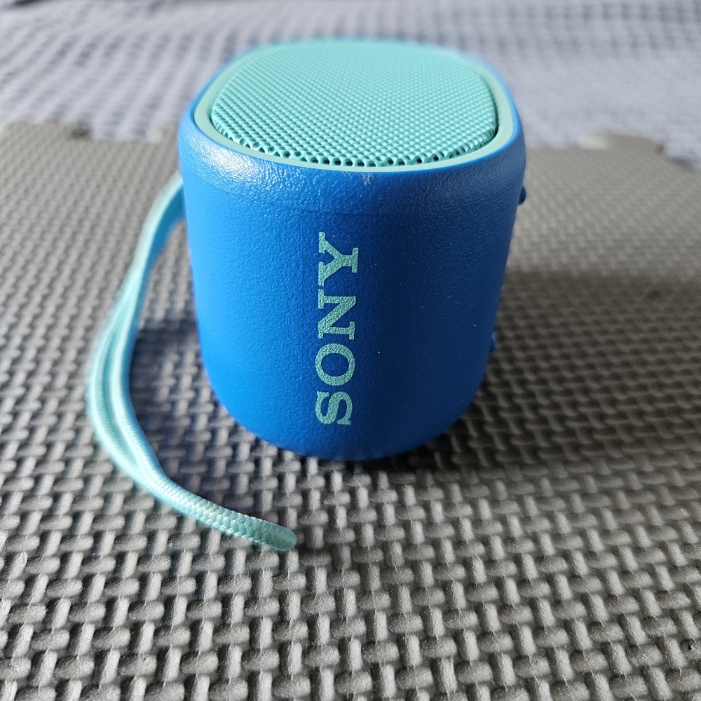 Sony Wireless Portable Speaker
